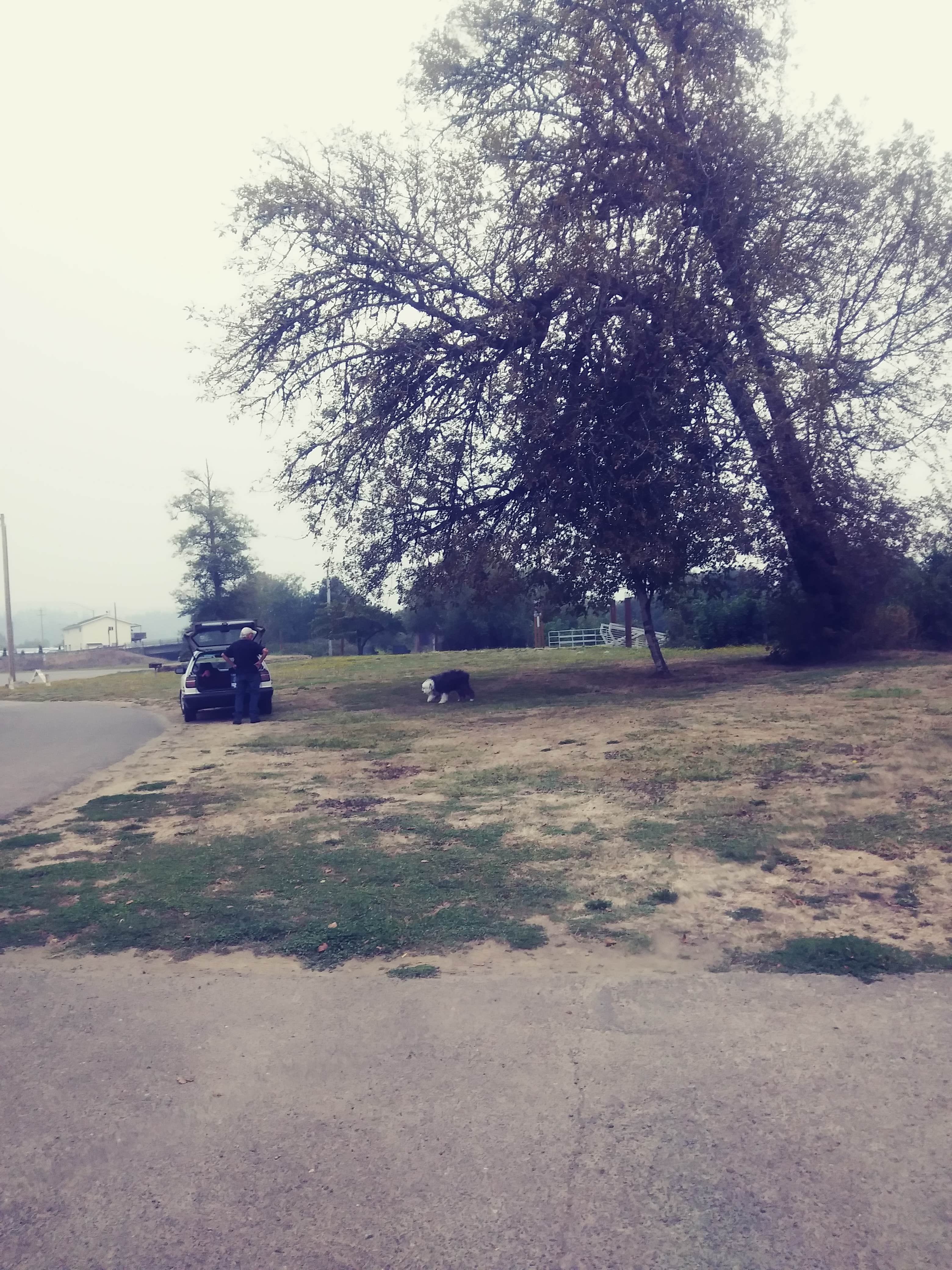 View All