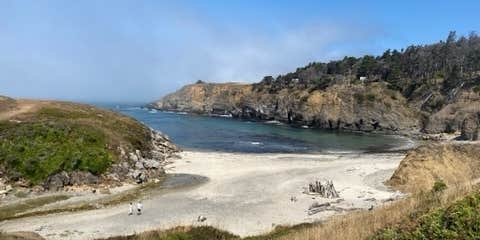 Camper submitted image from Salt Point State Park Campground