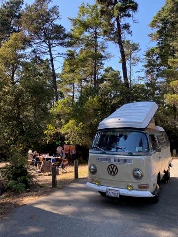 Camper-submitted photo at Salt Point State Park Campground near Gualala, CA