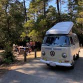 Review photo of Salt Point State Park Campground by Chad T., September 10, 2020