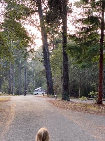 Camper-submitted photo at Salt Point State Park Campground near Gualala, CA