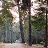 Review photo of Salt Point State Park Campground by Chad T., September 10, 2020