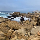 Review photo of Gerstle Cove Campground — Salt Point State Park by Chad T., September 10, 2020
