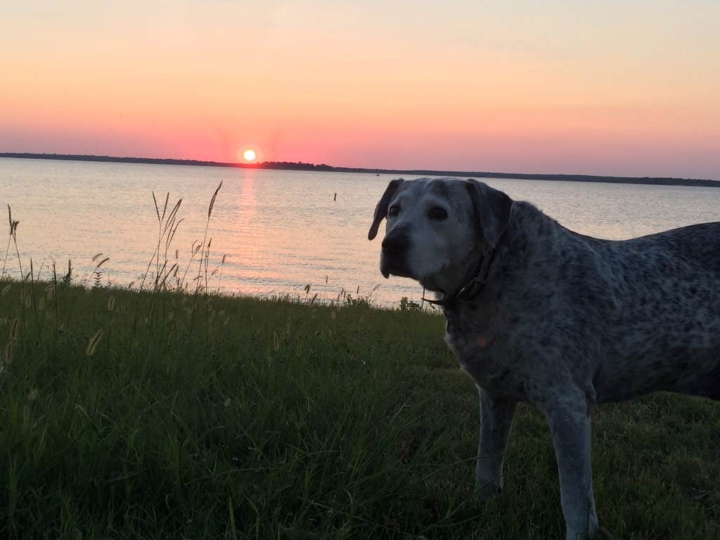 Camper submitted image from Rocky Creek (Somerville Lake) - 3