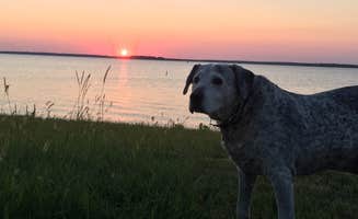 Lynne L.'s photo of camping with pets at Rocky Creek (Somerville Lake) near Somerville Lake