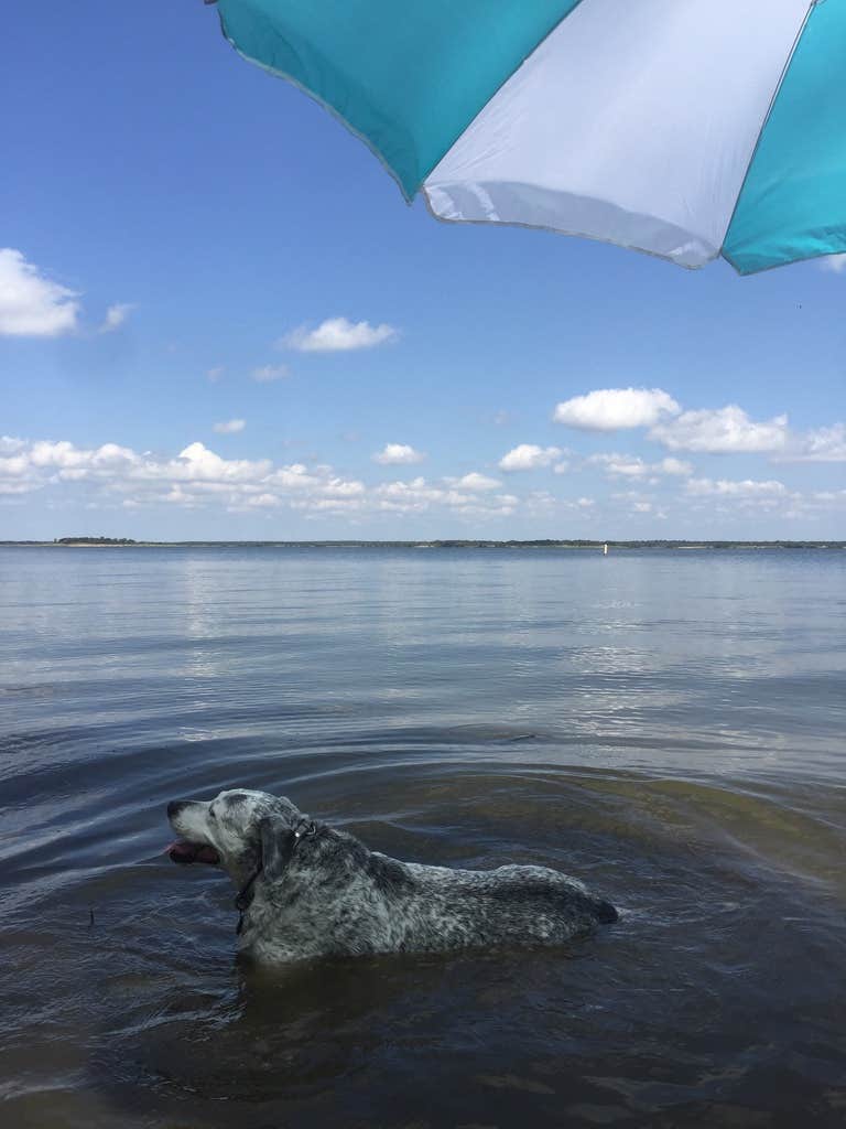 Camper-submitted photo at Rocky Creek (Somerville Lake) near Brenham, TX