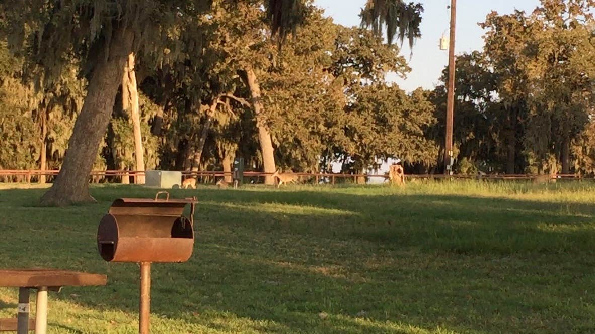 Camper-submitted photo at Rocky Creek (Somerville Lake) near Brenham, TX