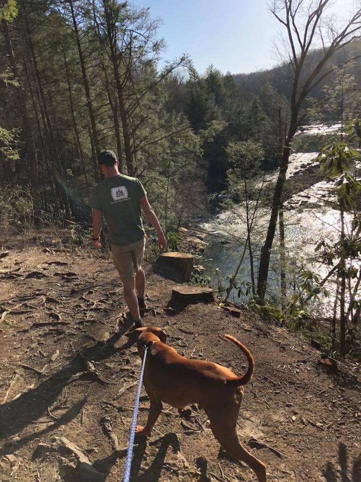 Camper-submitted photo at Audra State Park Campground in West Virginia