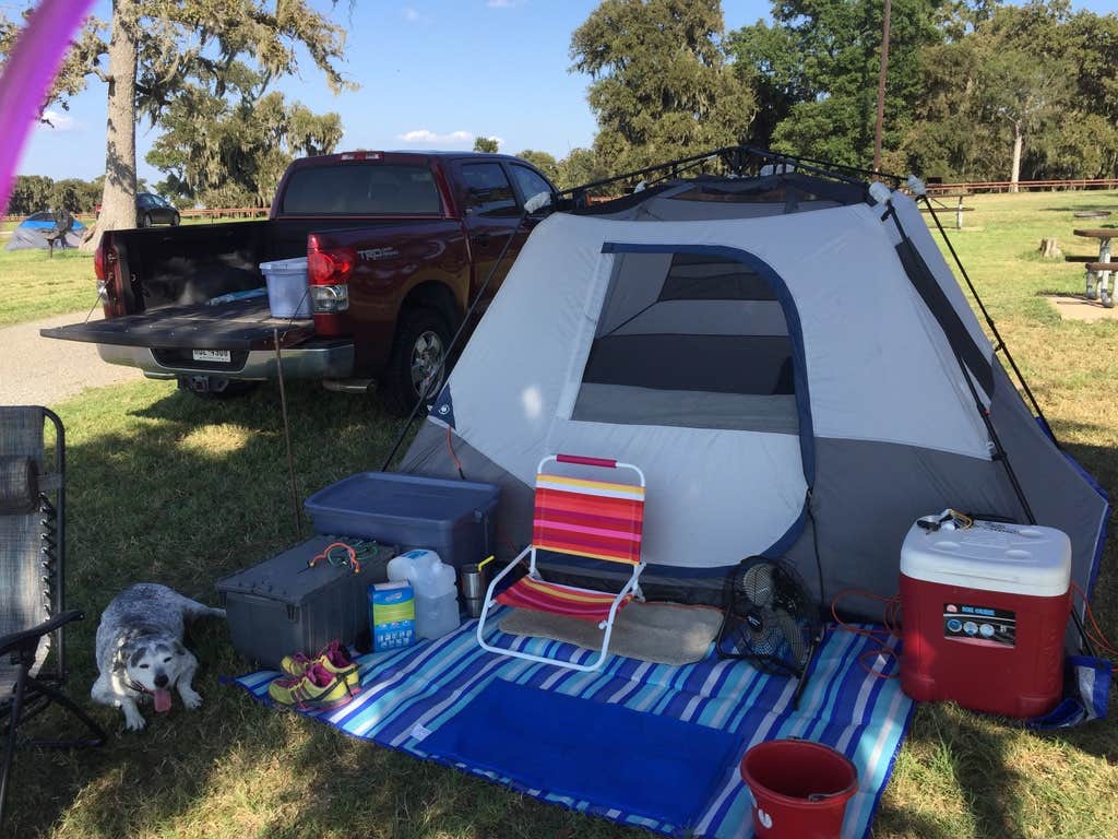 Lynne L.'s photo at Rocky Creek (Somerville Lake) near Cedar Creek, TX
