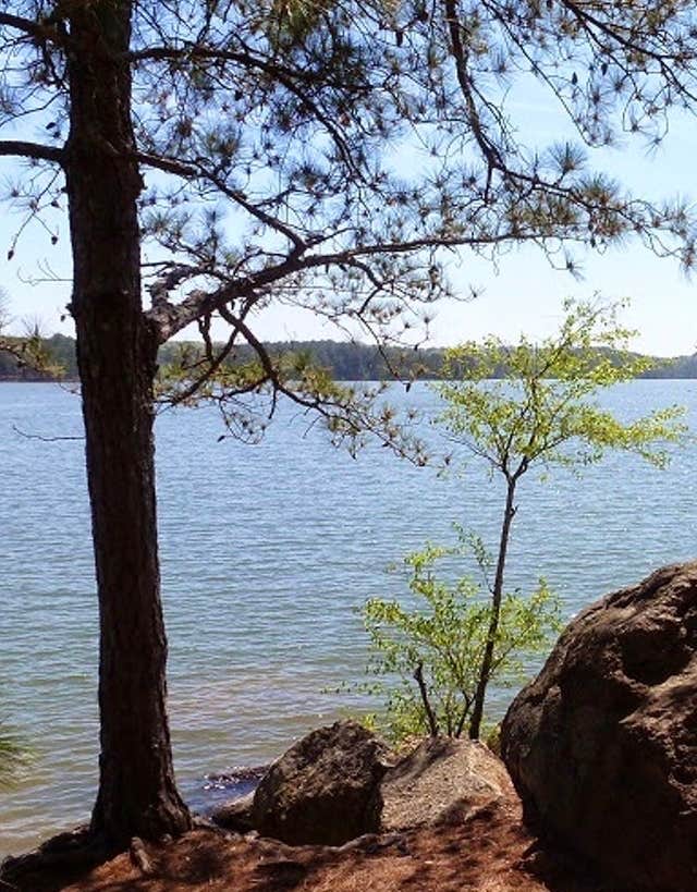 Camper-submitted photo at McKinney Campground near Canton, GA