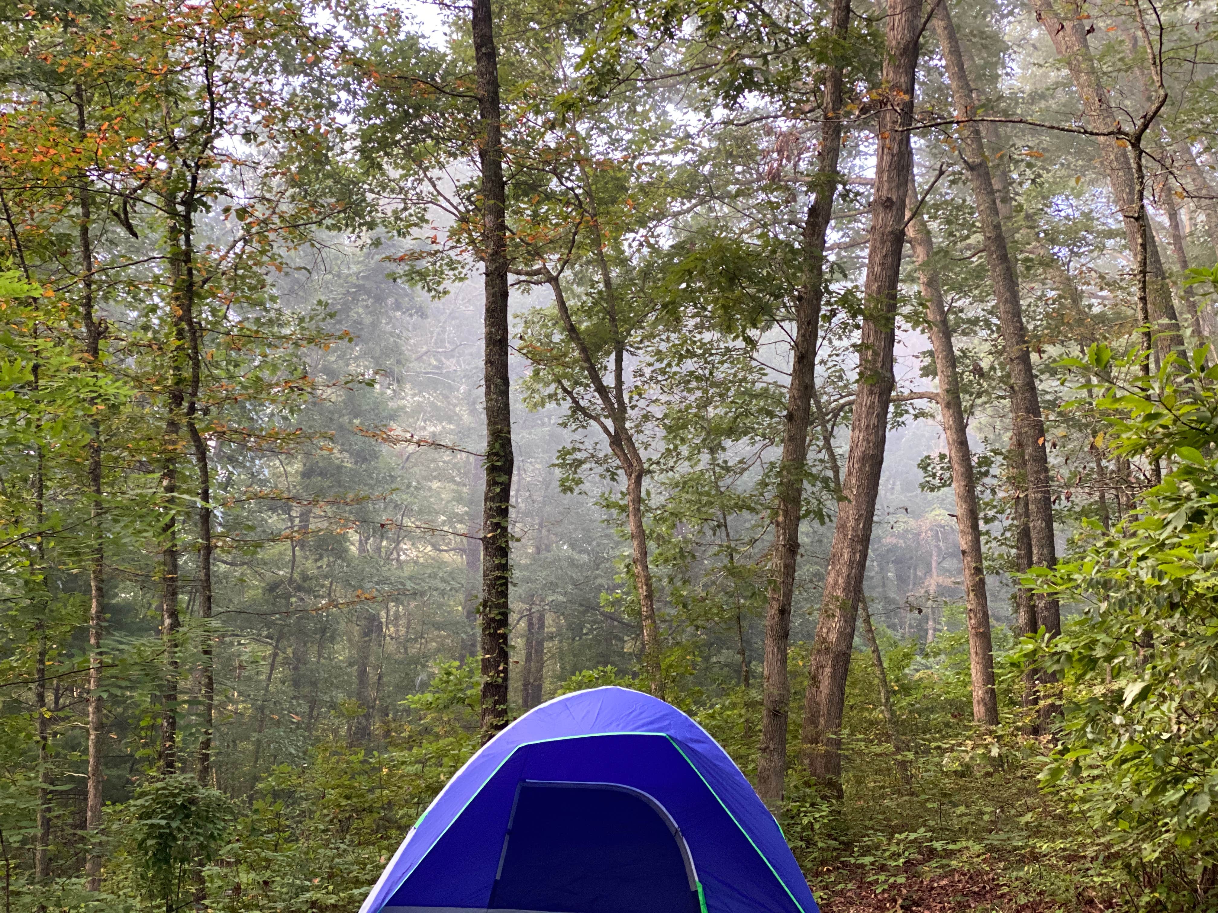 Benjamin N.'s photo at Morris Hill Campground near Warm Springs, VA