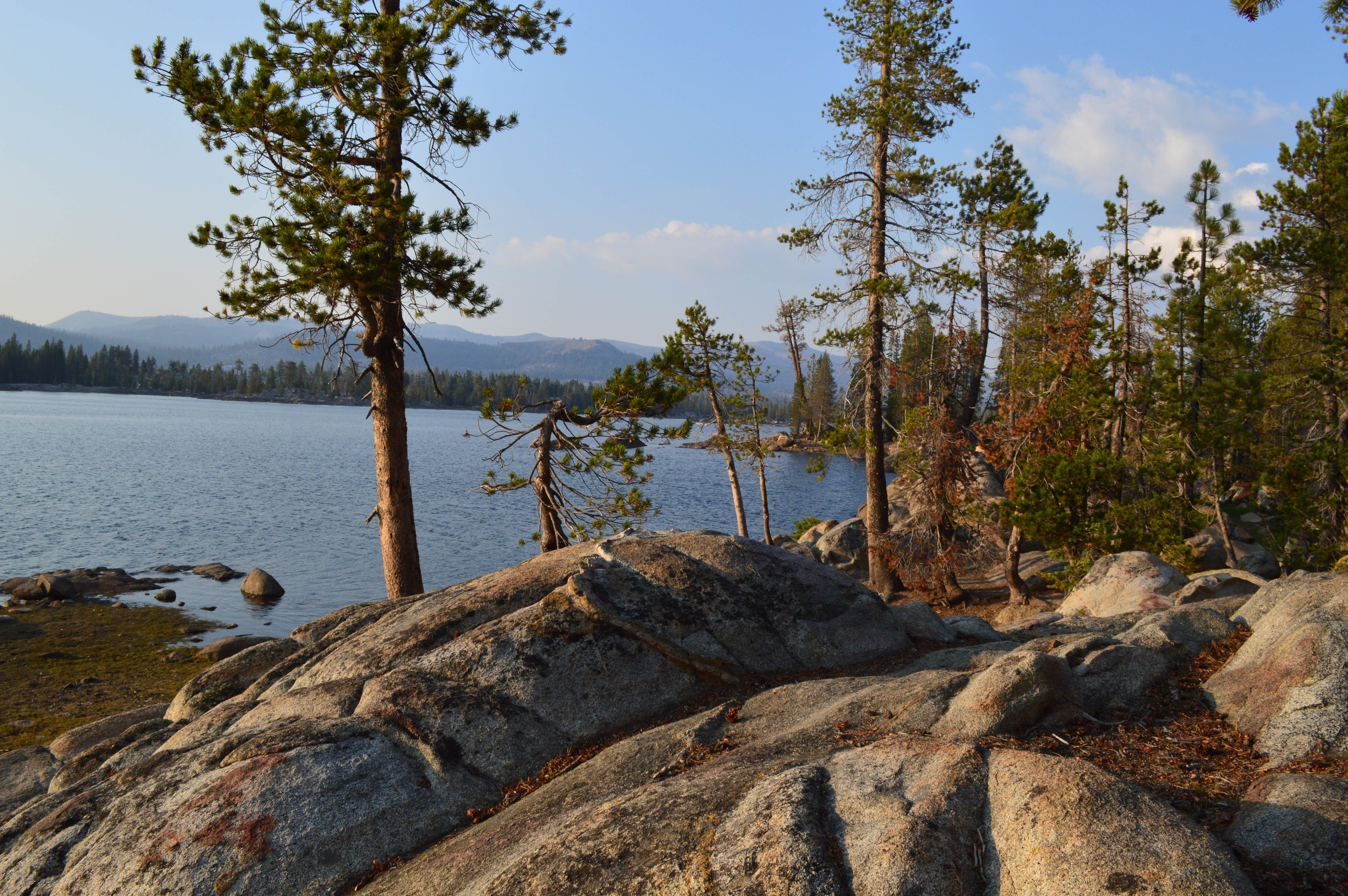 Camper-submitted photo at Utica/Union Reservoirs near Stanislaus National Forest
