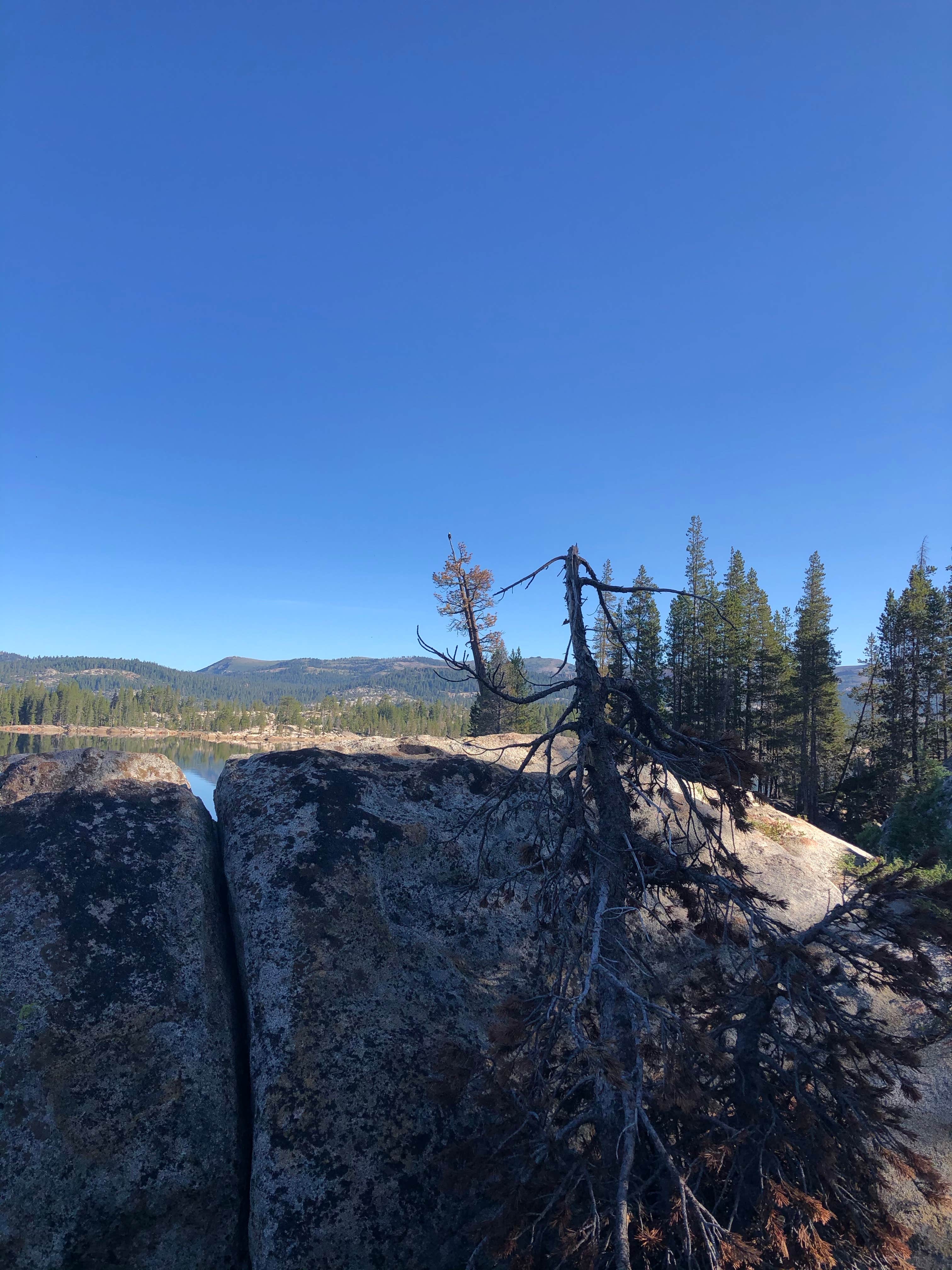 Camping near Silver Valley: Utica/Union Reservoirs, Bear Valley, California