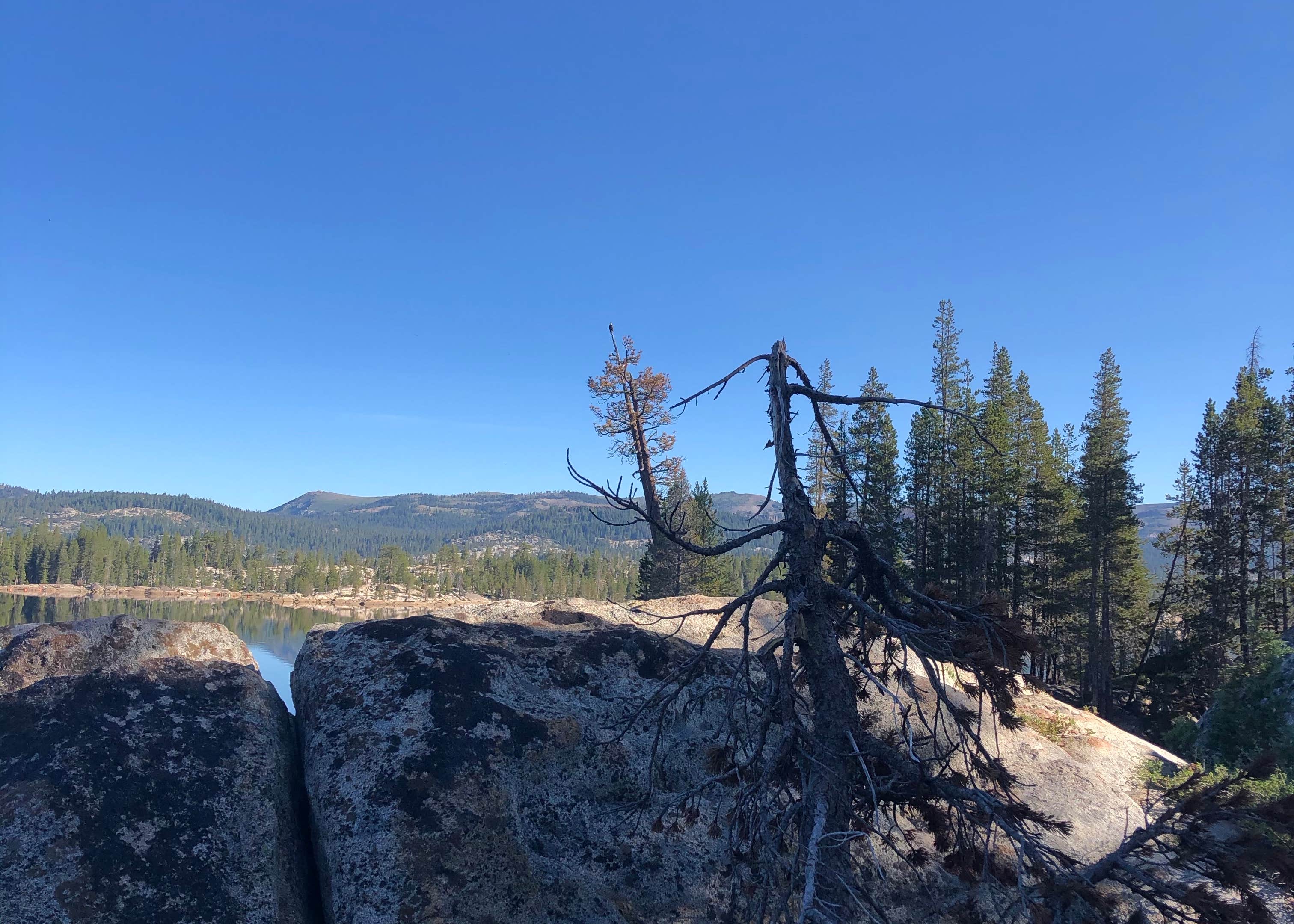 Utica/Union Reservoirs Camping The Dyrt