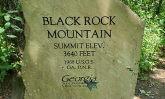 Fern Cove - Black Rock Mountain State Park