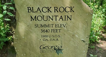 Fern Cove - Black Rock Mountain State Park