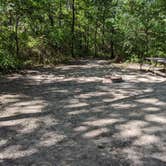 Review photo of Cox Hollow Campground — Governor Dodge State Park by Josh F., September 11, 2020