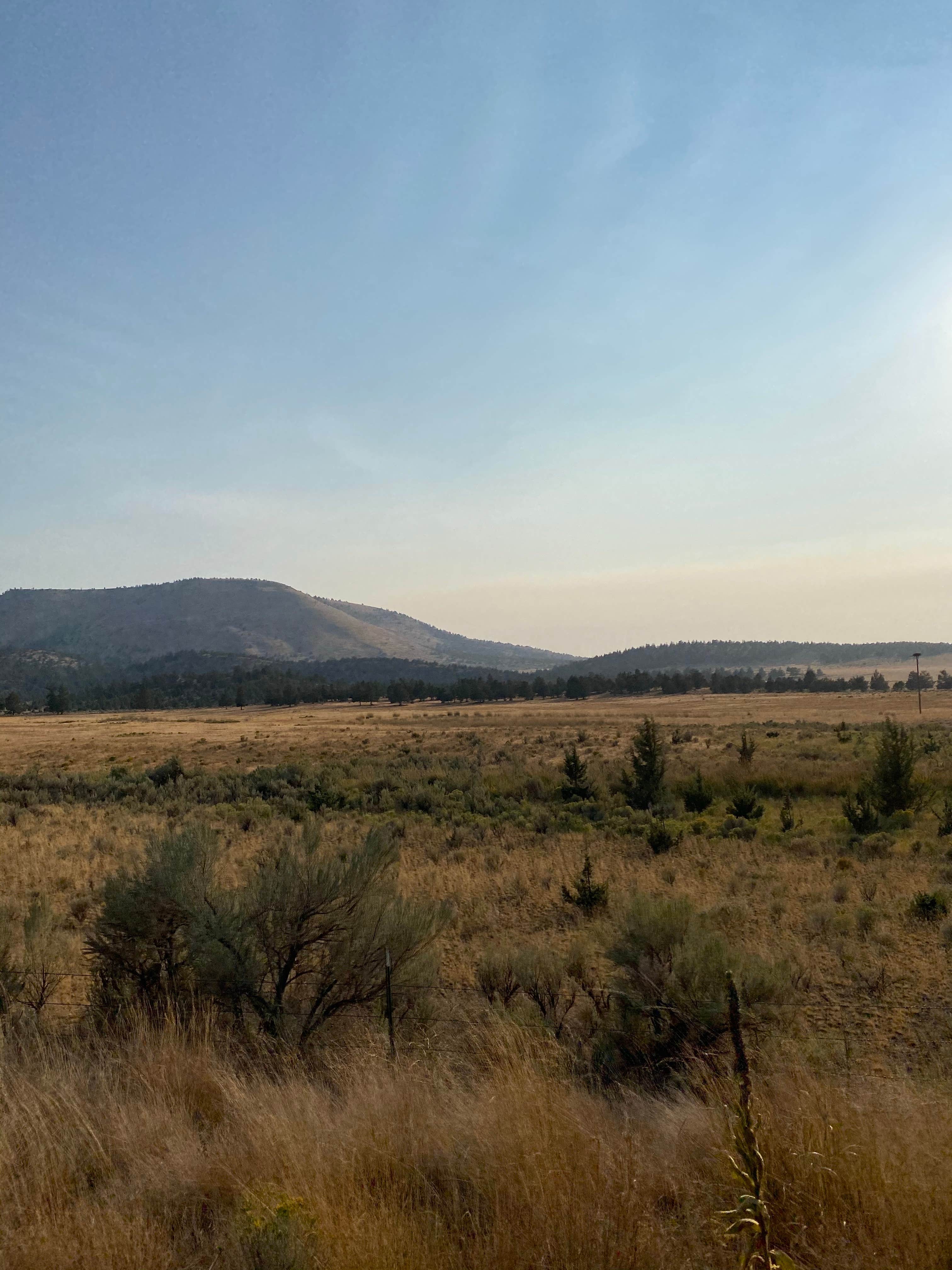 Camper submitted image from Haystack Reservoir Campground (East Shore) - 2