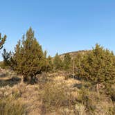 Review photo of Haystack Reservoir Campground (East Shore) by Amanda B., September 11, 2020