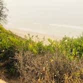 Review photo of El Capitán State Beach Campground by Melissa H., September 11, 2020