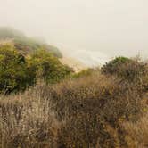 Review photo of El Capitán State Beach Campground by Melissa H., September 11, 2020