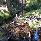 Review photo of Eshom Campground by Melissa H., September 11, 2020