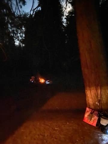 Melissa H.'s photo at Eshom Campground near Dunlap, CA