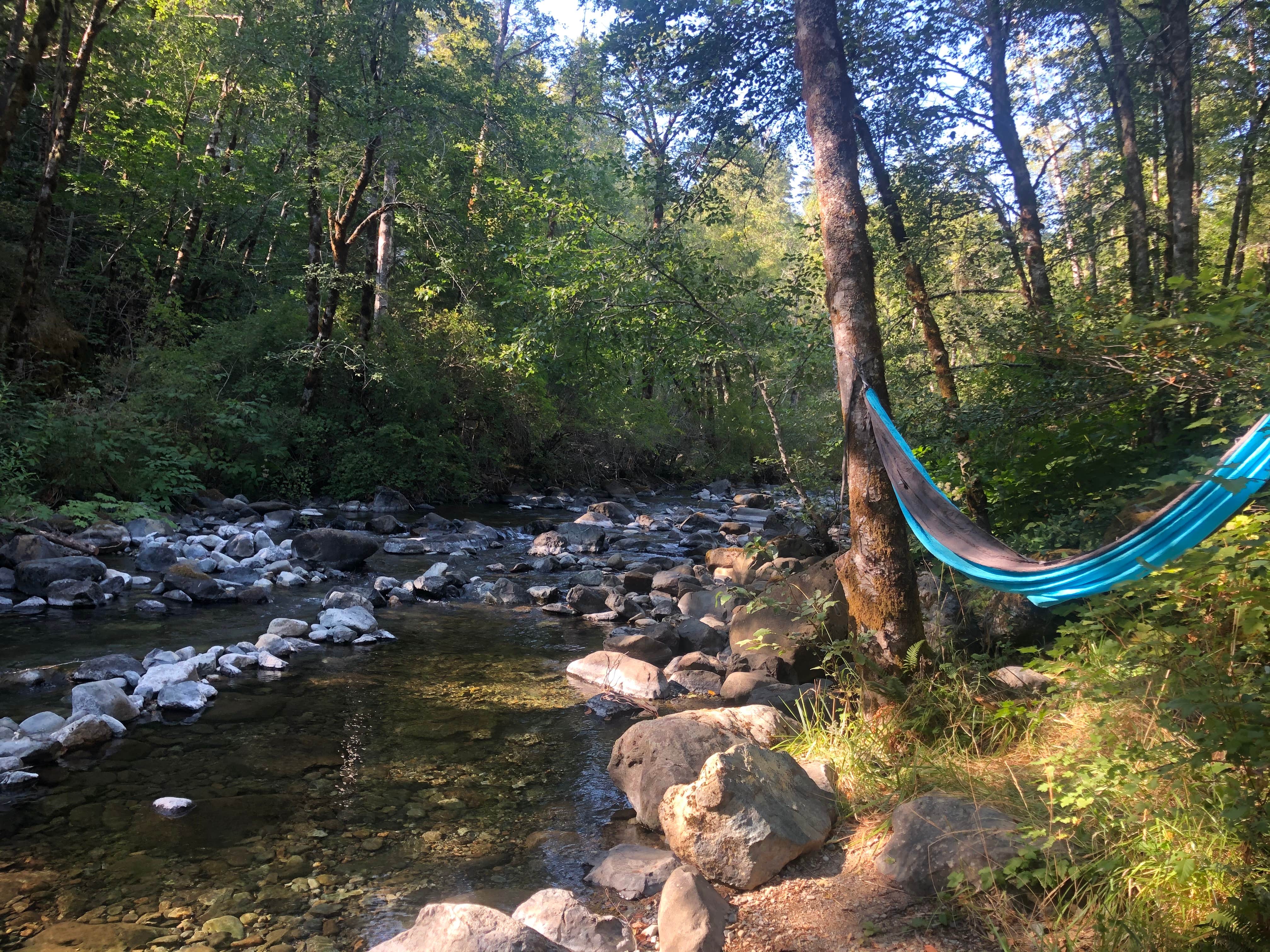 Camper submitted image from Patrick Creek Campground - 5