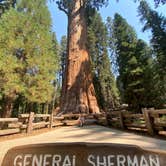 Review photo of Potwisha Campground — Sequoia National Park by Mandy , September 11, 2020