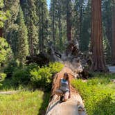 Review photo of Potwisha Campground — Sequoia National Park by Mandy , September 11, 2020
