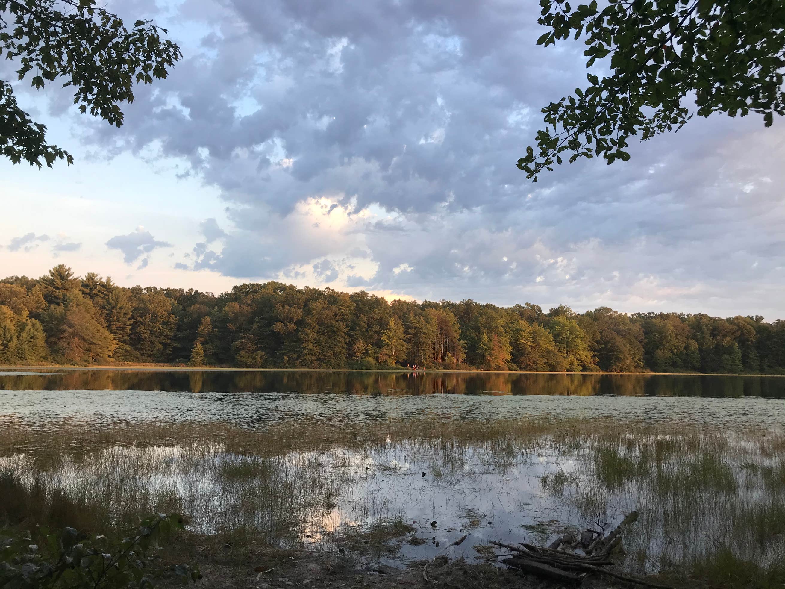 Ely Lake Campground Camping The Dyrt