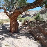 Review photo of Goblin Valley State Park Campground by Troy L., May 16, 2018