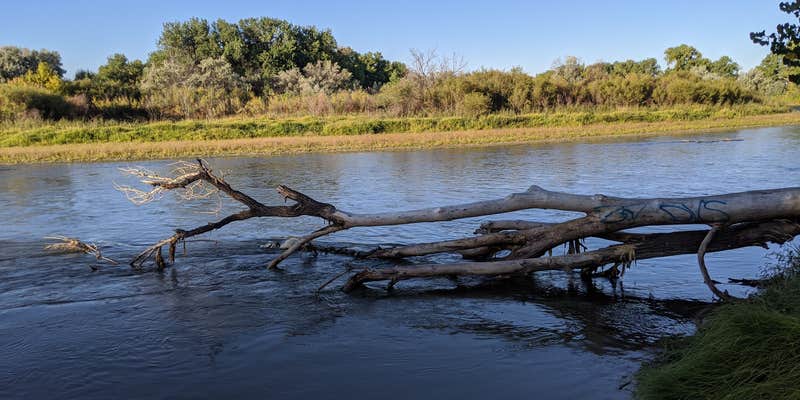 Camper submitted image from Two Leggins