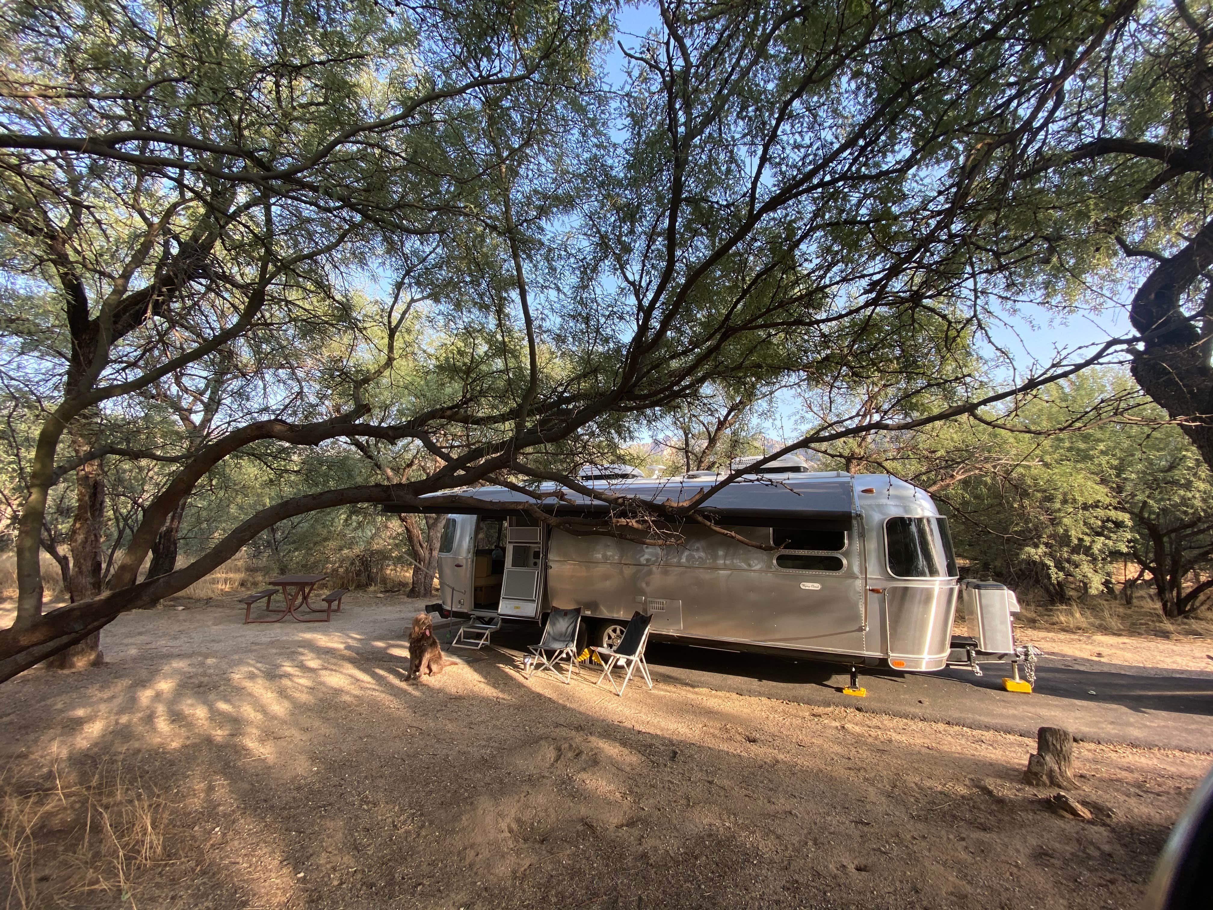 Jenny W.'s photo at Catalina State Park Campground near San Manuel, AZ