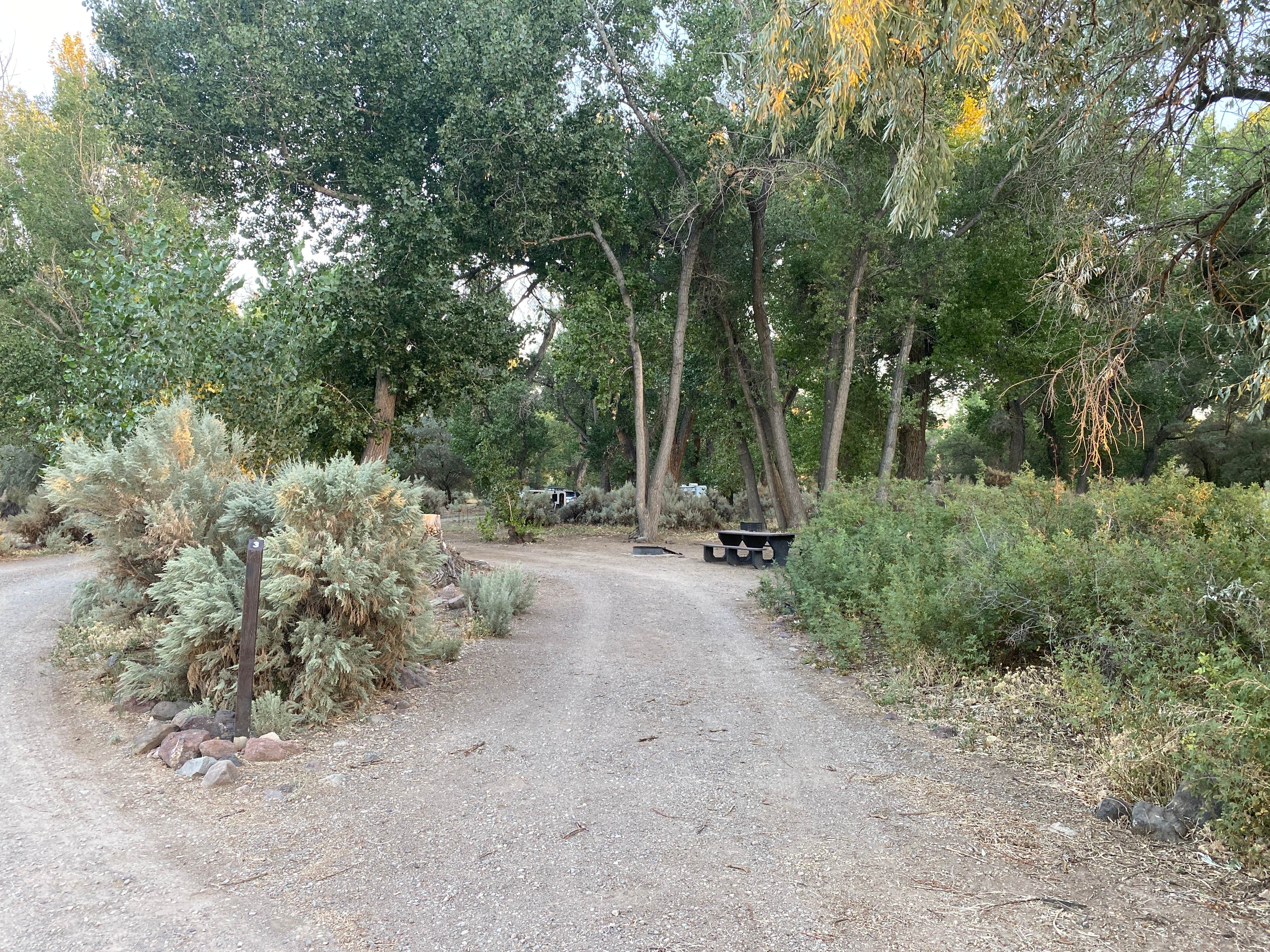 Camper submitted image from Samuel Buckland Campground — Fort Churchill State Historic Park - 3