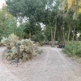 Review photo of Samuel Buckland Campground — Fort Churchill State Historic Park by Jessica M., September 11, 2020