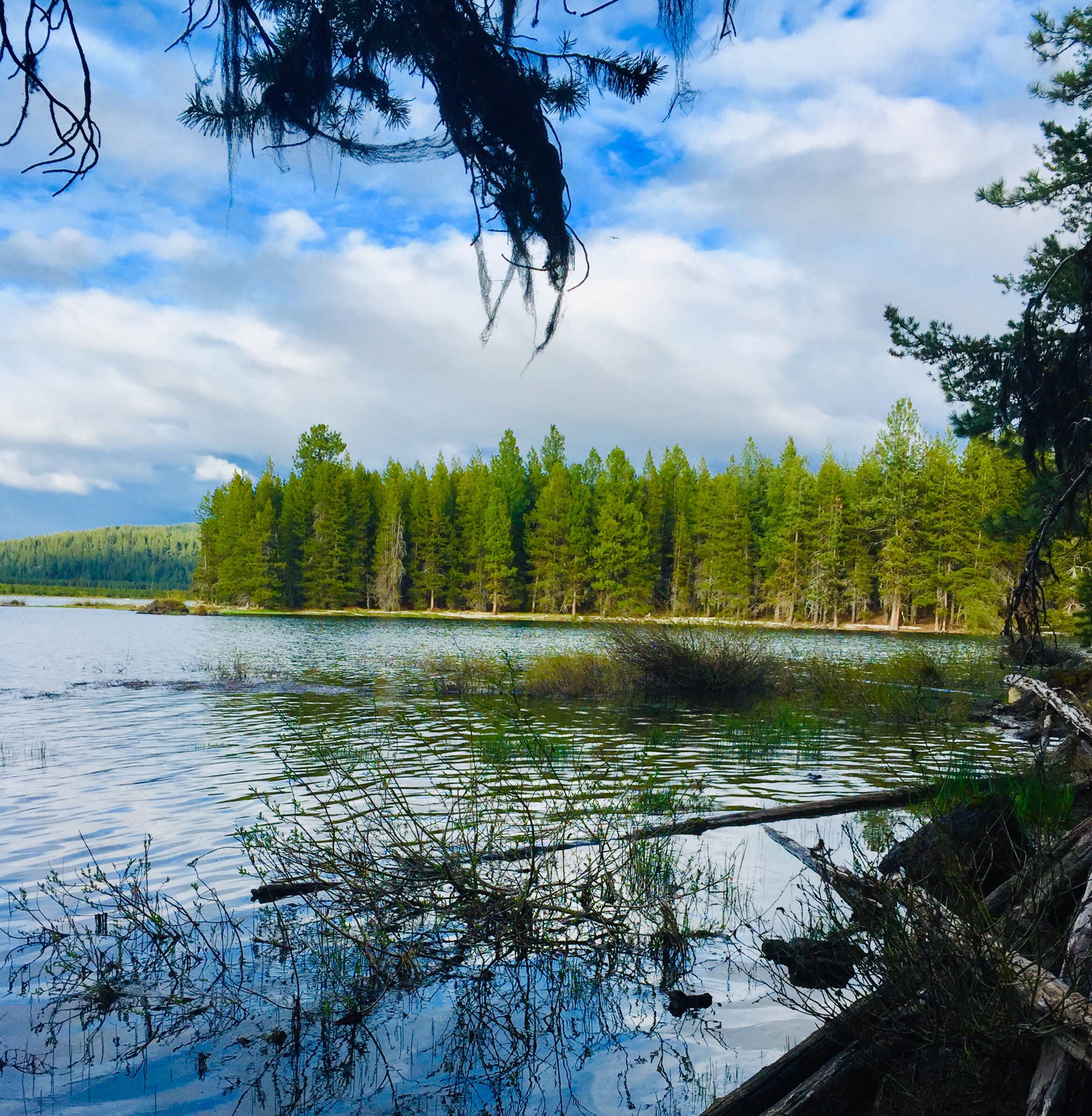 Deschutes Crane Prairie Campground The Dyrt