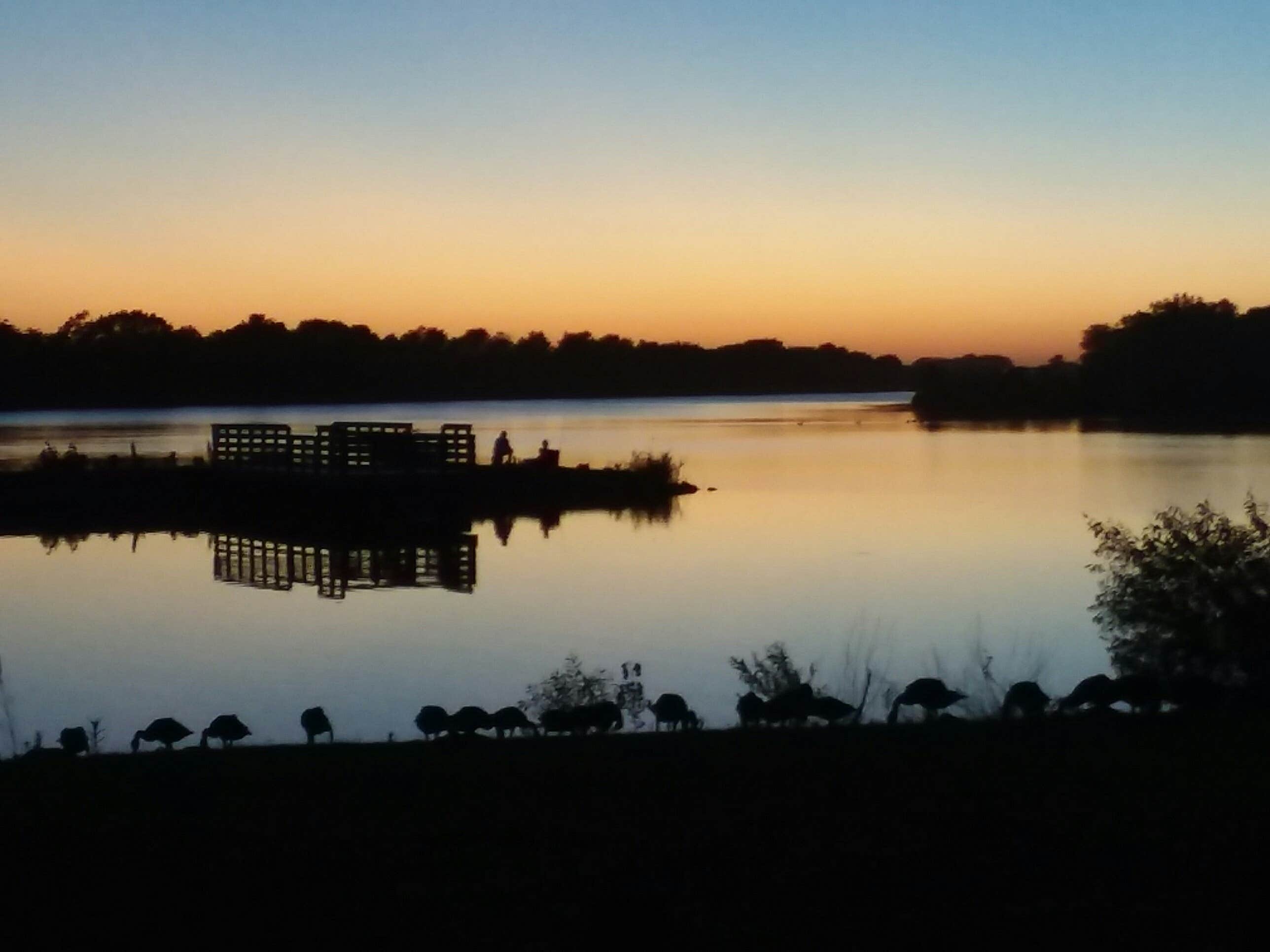 Camper submitted image from Memphis Lake State Rec Area - 5