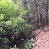 Review photo of Sam Stowe Campground — Fremont Indian State Park by Troy L., May 16, 2018