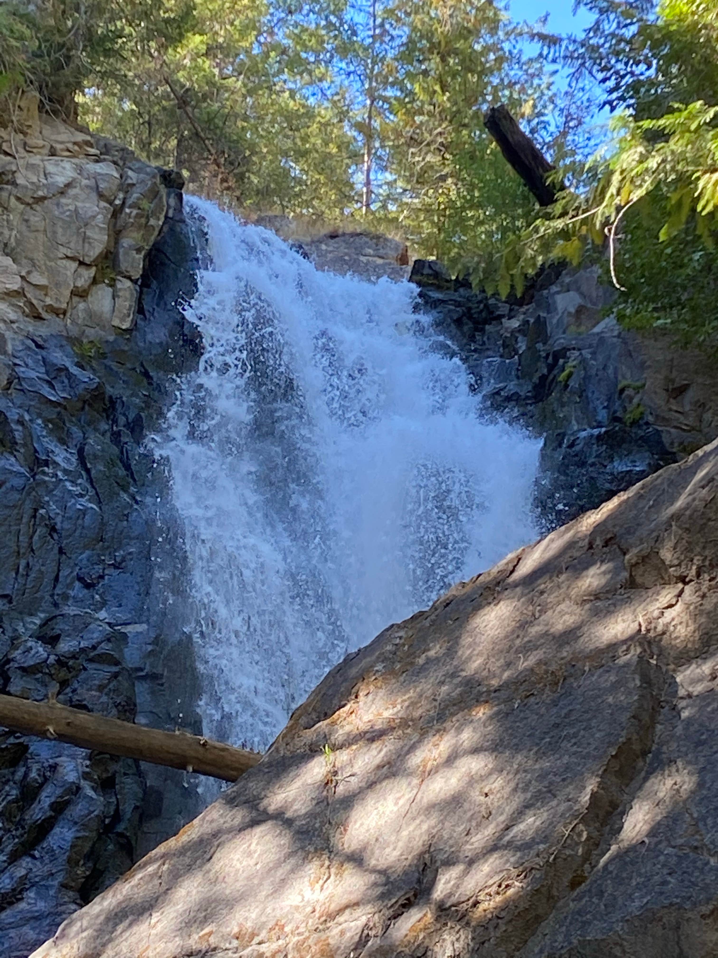 Camper-submitted photo at Chewuch Campground near Mazama, WA