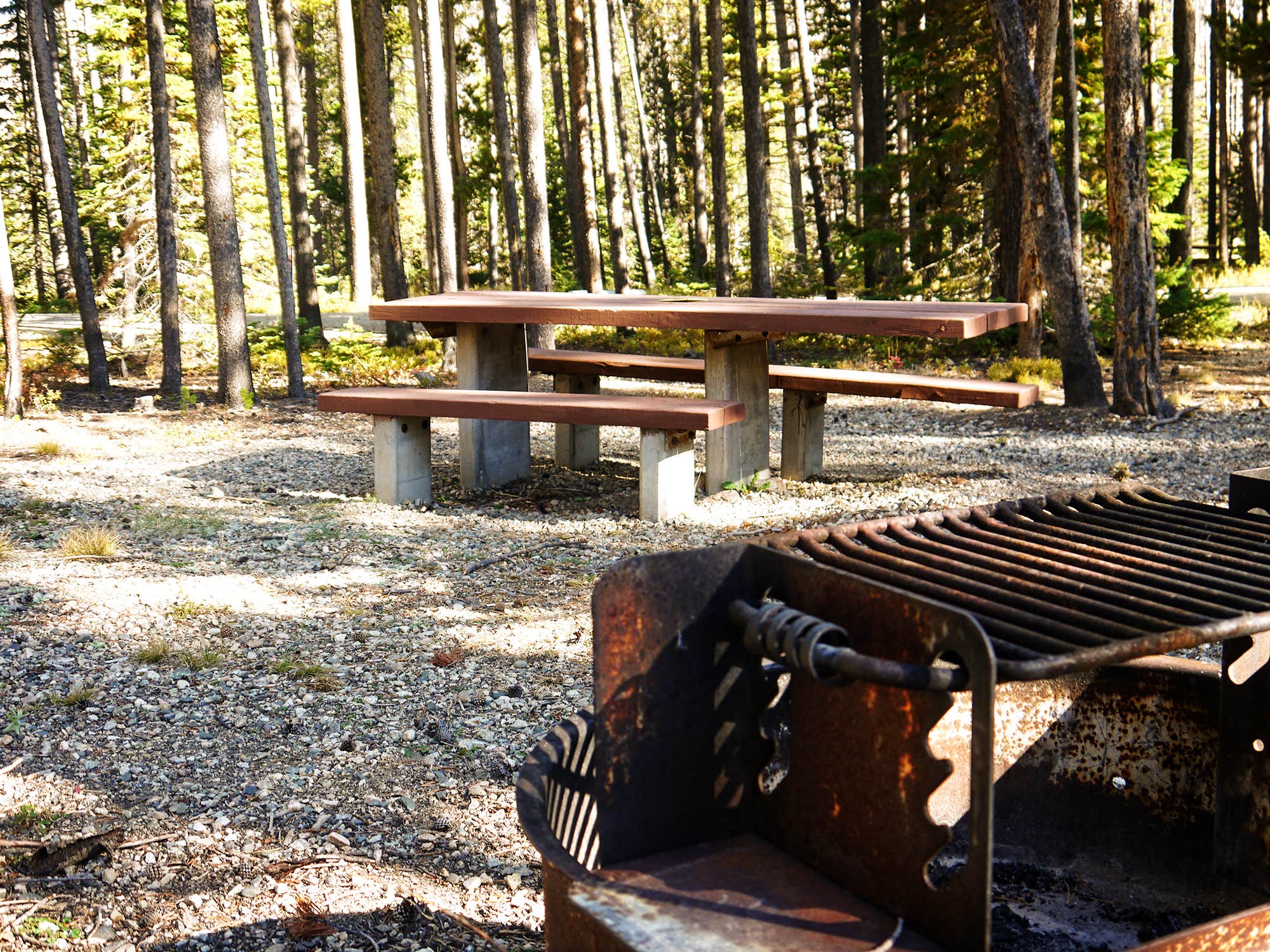 Camper-submitted photo at Cascade Campground-Custer National Forest near Red Lodge, MT