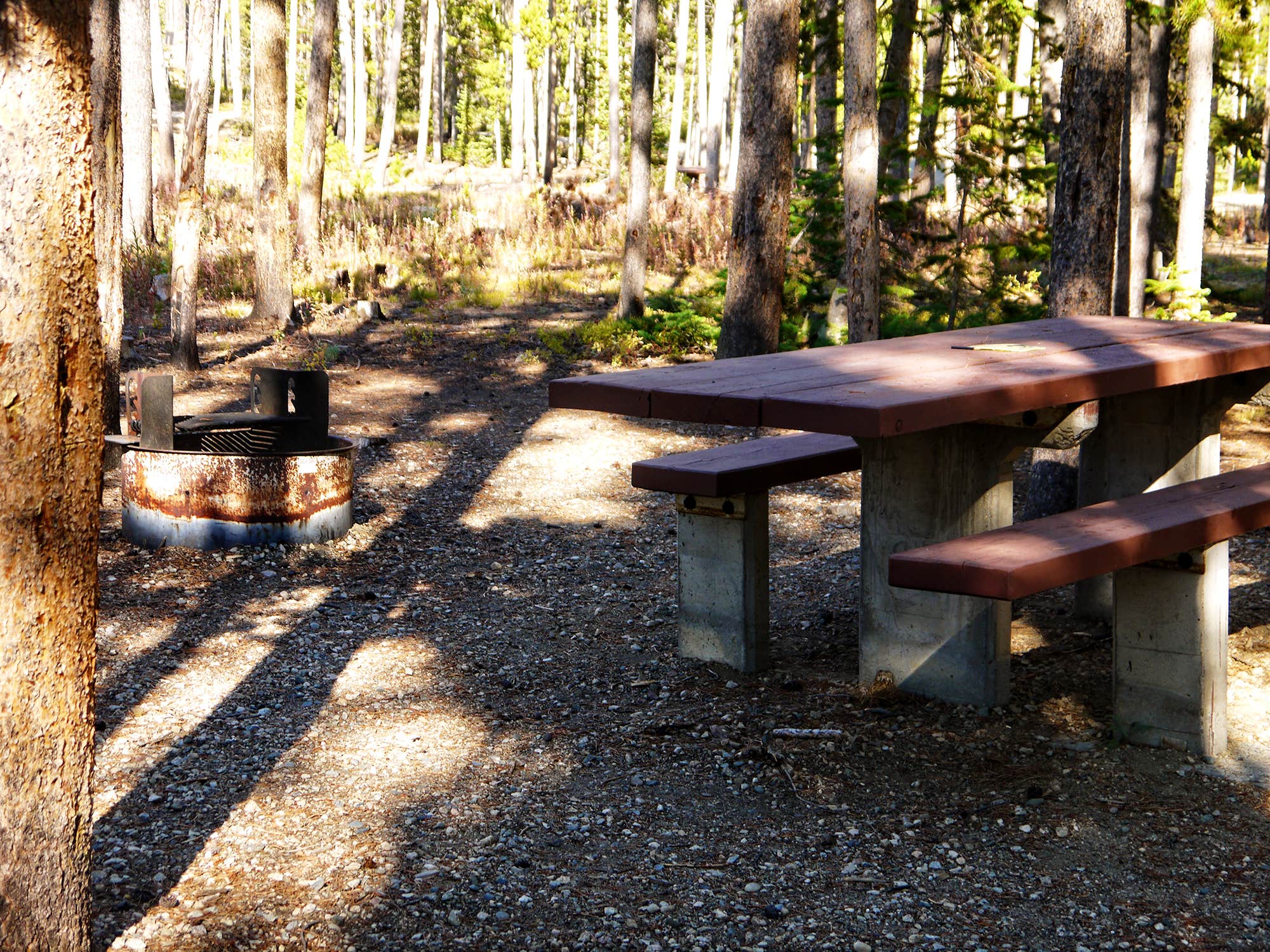 Camping near Custer National Forest Rattin Campground: Cascade Campground-Custer National Forest, Red Lodge, Montana
