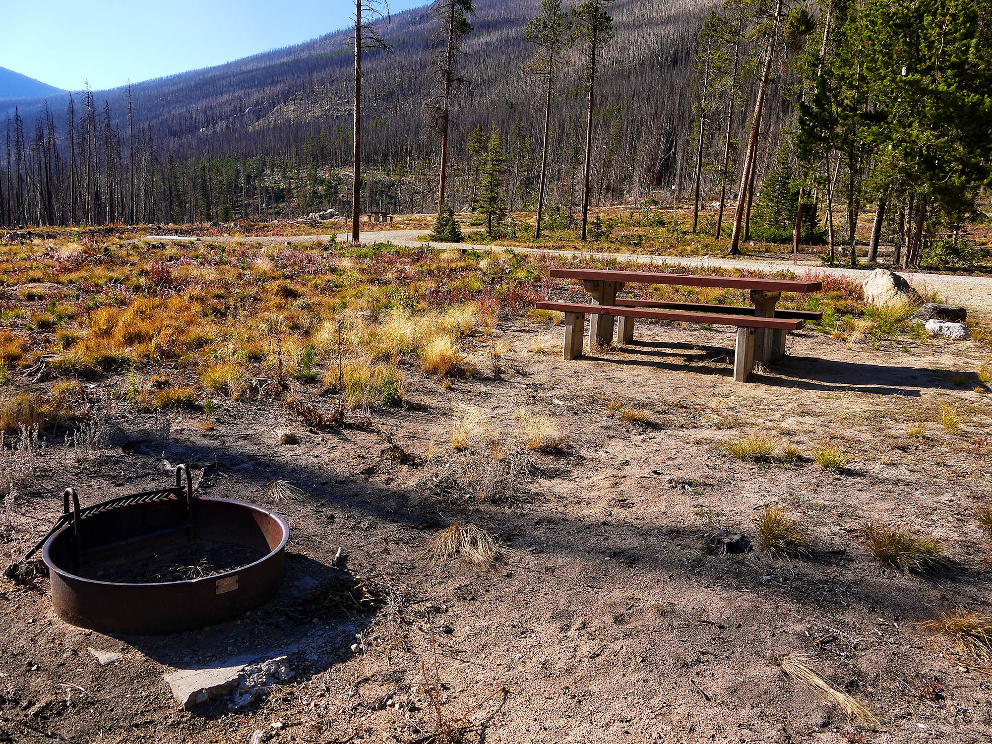 Camper-submitted photo at Cascade Campground-Custer National Forest near Red Lodge, MT