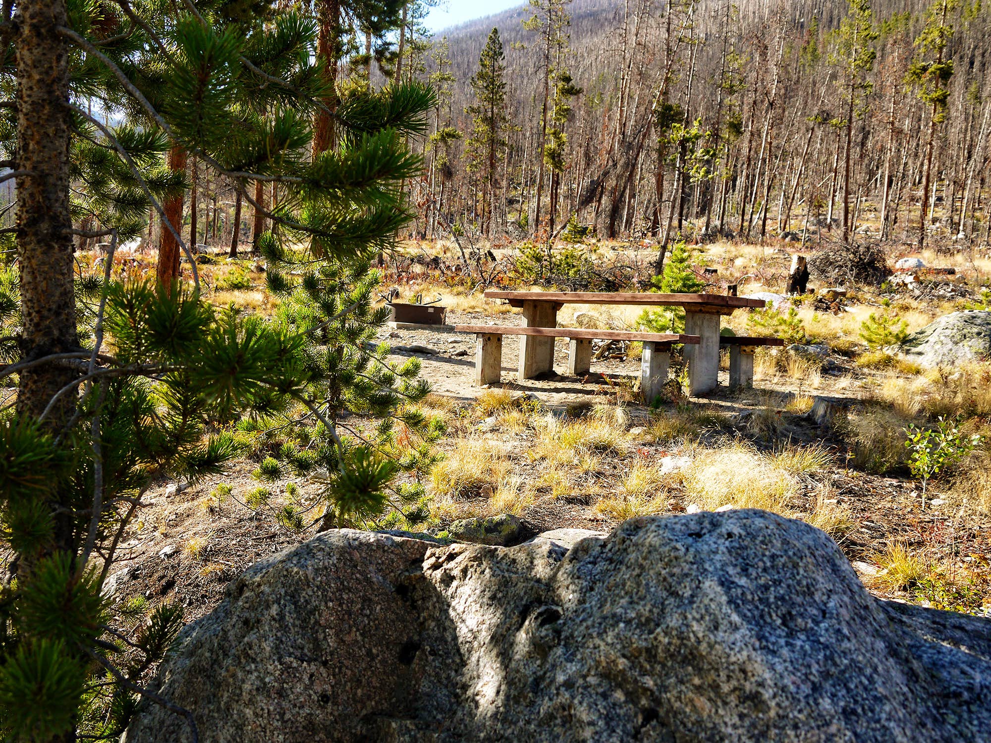 Camper-submitted photo at Cascade Campground-Custer National Forest near Red Lodge, MT
