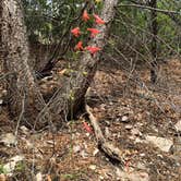 Review photo of Sam Stowe Campground — Fremont Indian State Park by Troy L., May 16, 2018