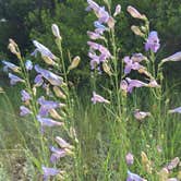 Review photo of Sam Stowe Campground — Fremont Indian State Park by Troy L., May 16, 2018