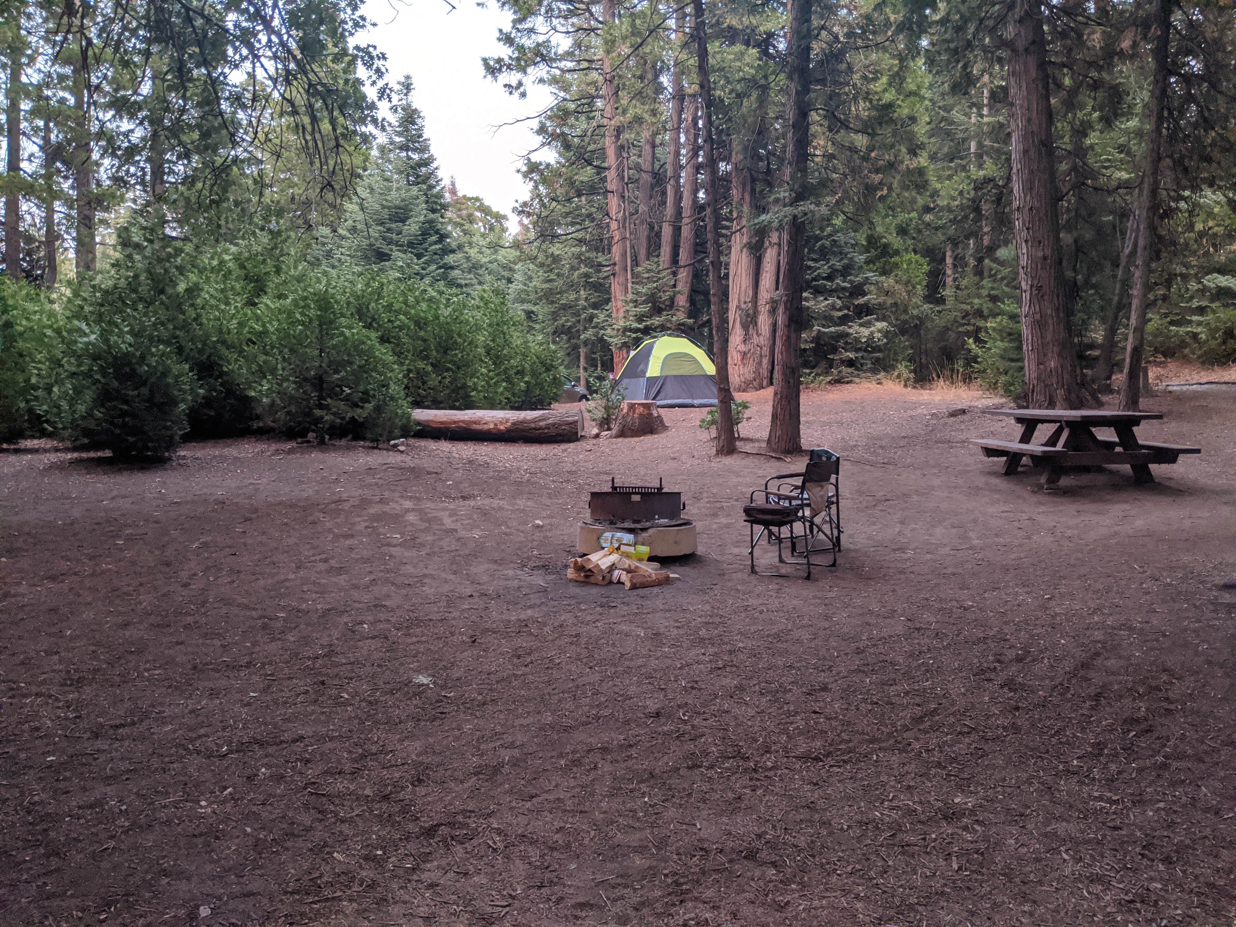 Jeremiah F.'s photo at Dogwood near Hesperia, CA