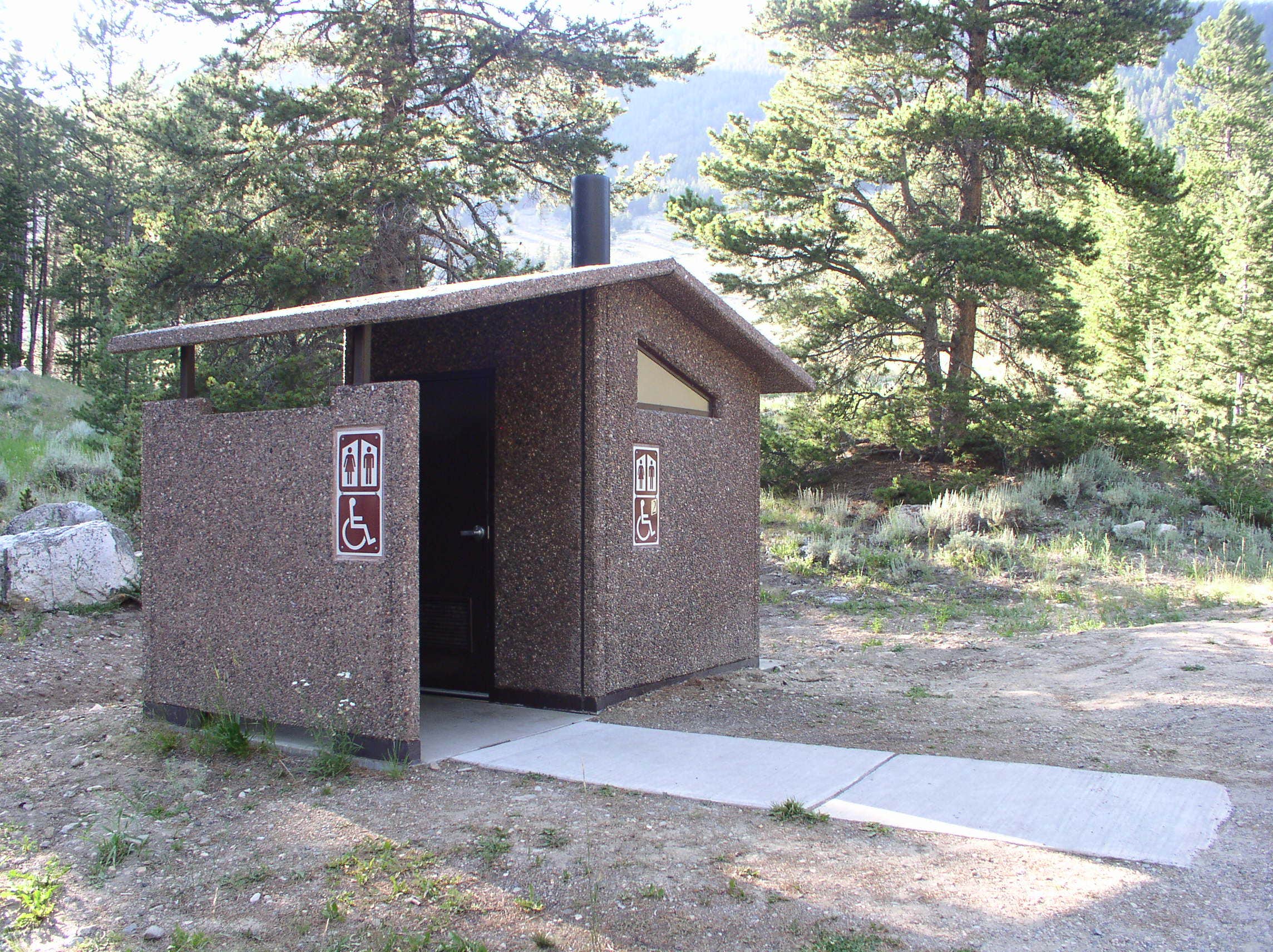 Camper submitted image from Limber Pine - 2