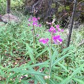 Review photo of Sam Stowe Campground — Fremont Indian State Park by Troy L., May 16, 2018