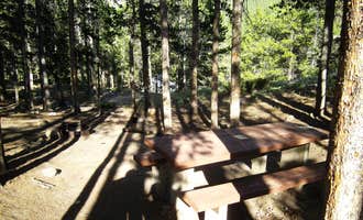 Camping near Custer National Forest Parkside Campground: Limber Pine, Red Lodge, Montana
